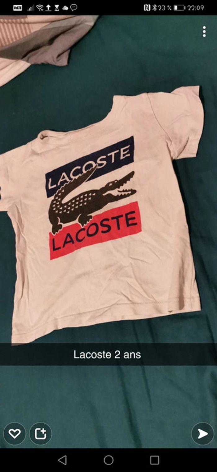 T-shirt lacoste