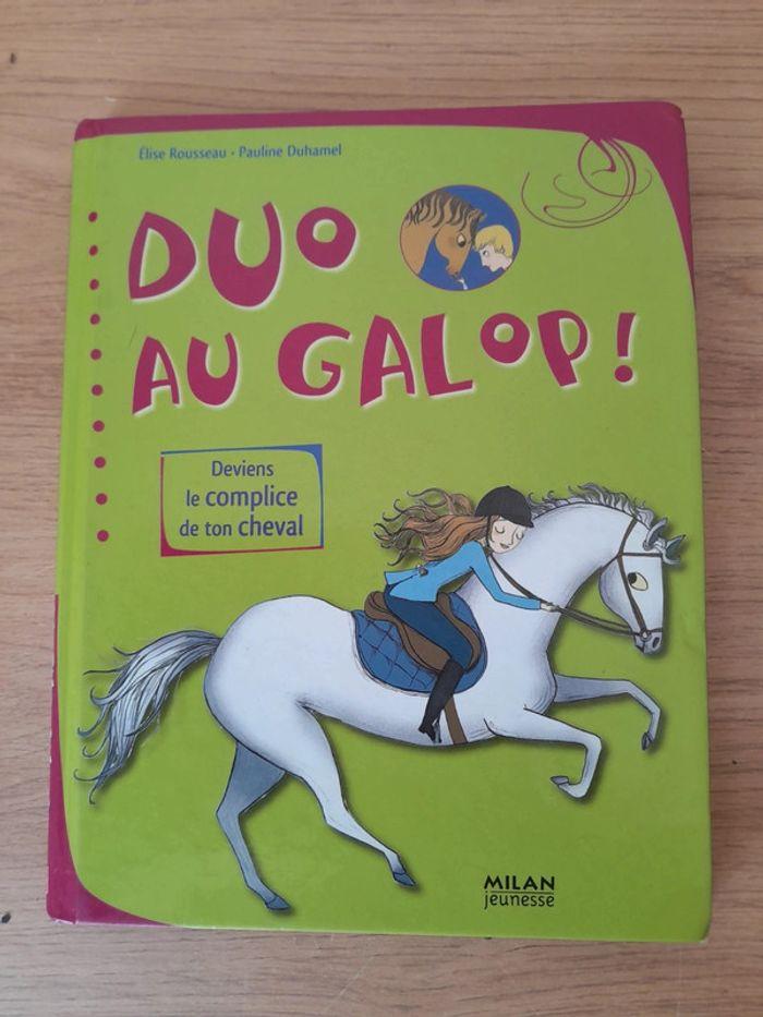 Duo au galop - photo numéro 1