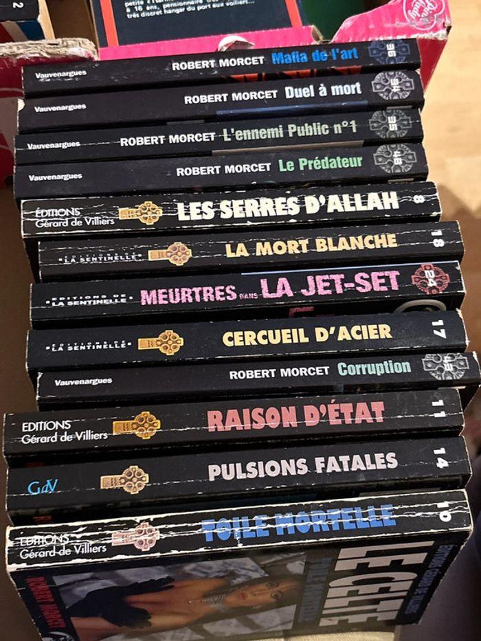 Lot de 12 livres le celte