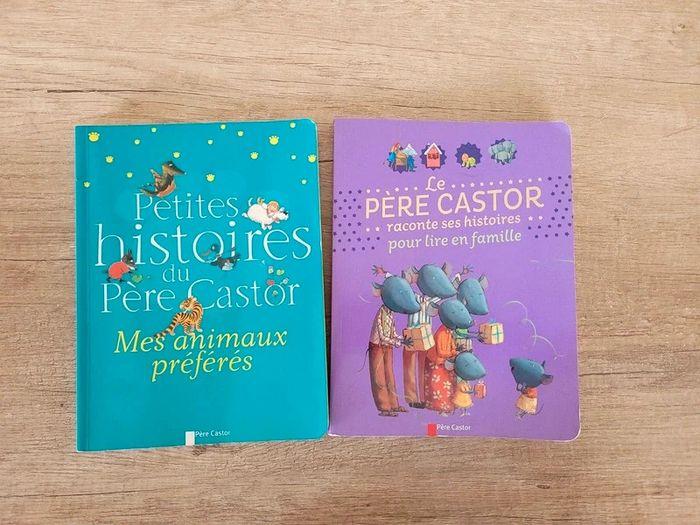 Livres Père Castor - photo numéro 1