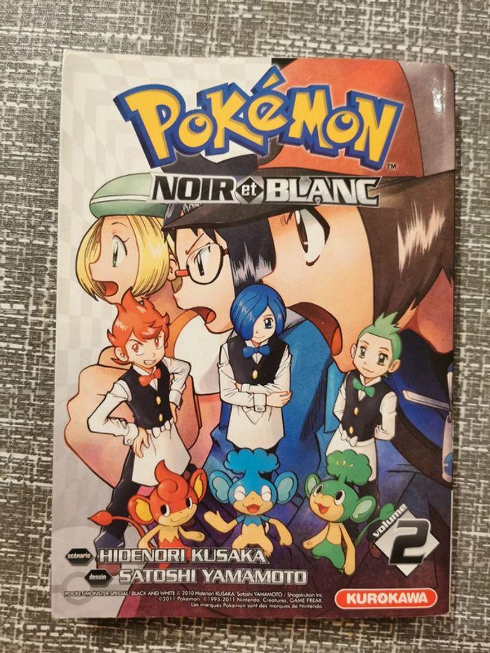 Pokémon noir et blanc