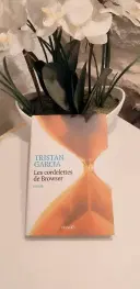 Livre Les Cordelettes De Browser - Garcia Tristan en tres bon etat