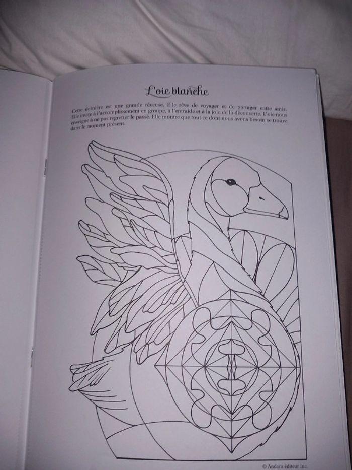 Mandalas coloriages neufs - photo numéro 9