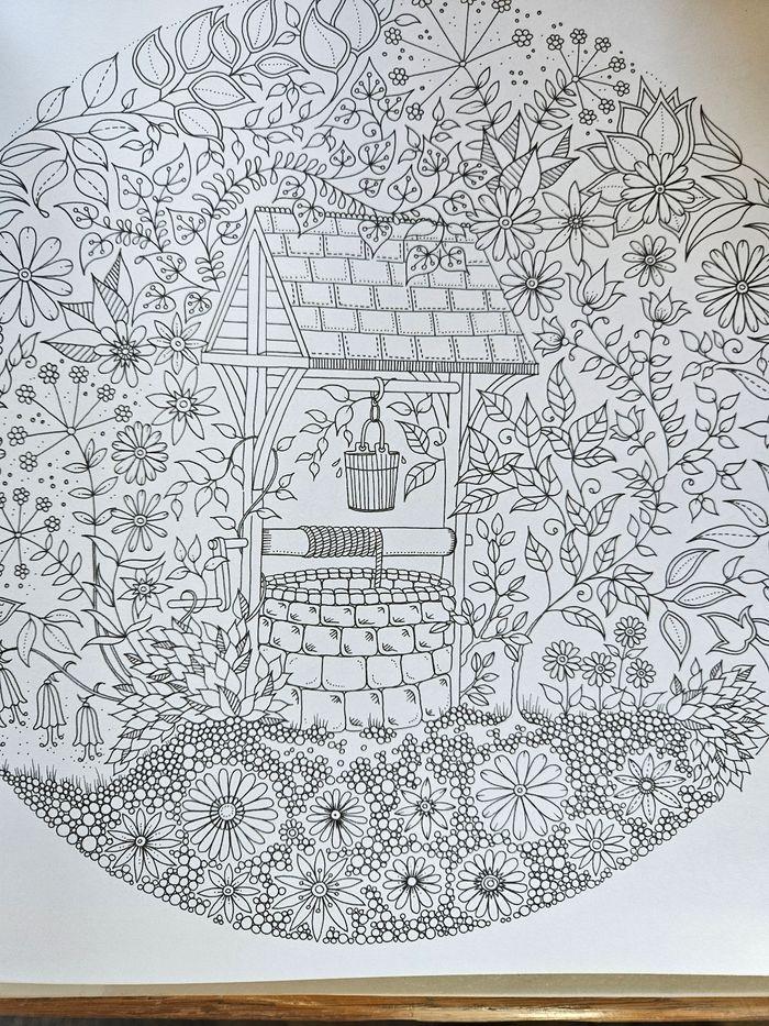 Livre coloriage Johanna basford Jardin secret - photo numéro 2