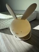 Veilleuse rechargeable lapin