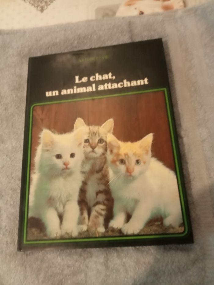 Livre chats - photo numéro 1