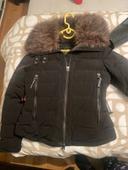 Manteau superdry