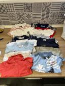 Lot tee shirts 6 mois