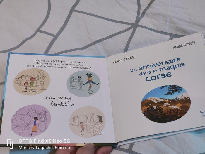 " Un anniversaire dans la maquis corse " 0€50 -50% dès 2 achetés - photo numéro 3