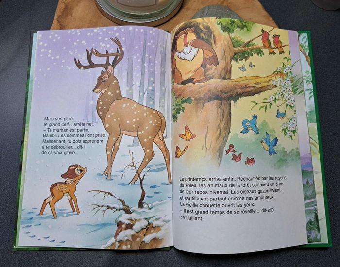 Livre Disney collection hachette Bambi - photo numéro 4