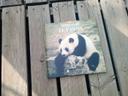 Livre : le panda