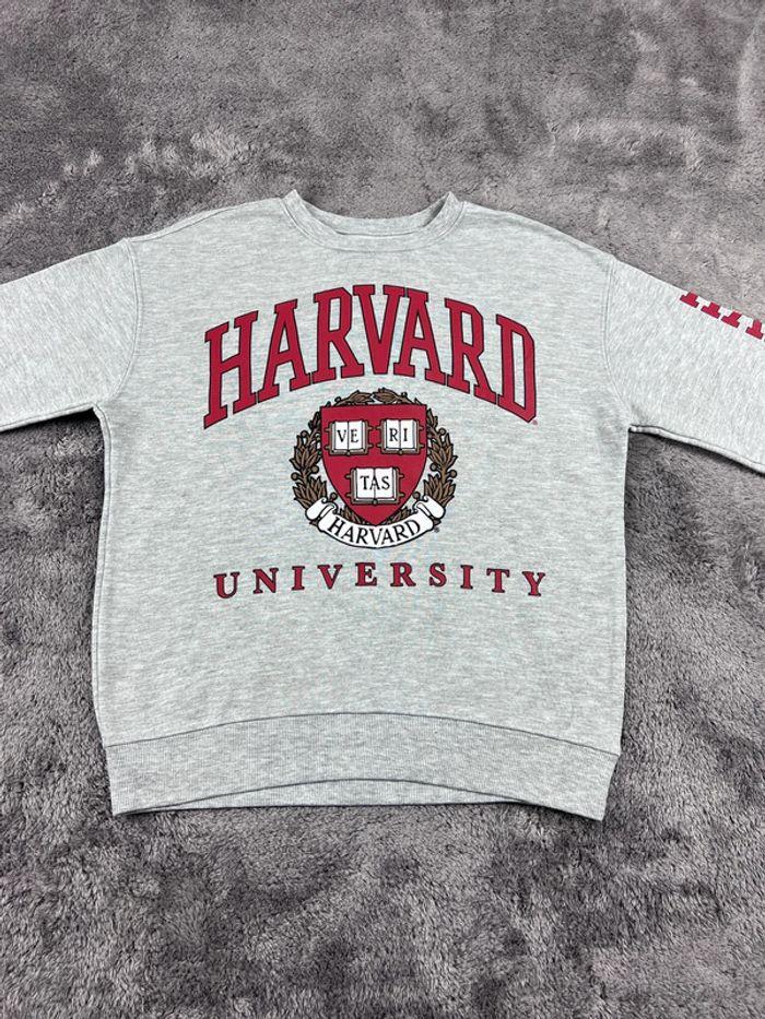 👕 Sweat à capuche Veste University Rare Vintage y2k 90s 2000s Harvard Gris Taille S 👕 - photo numéro 6