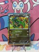 Carte Rayquaza Dragon sélection Ed1