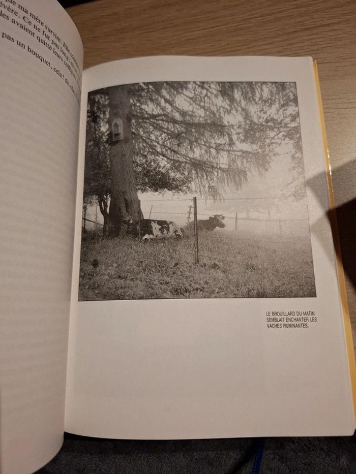 Les jardins de ma mère. Souvenirs du vieux condroz - photo numéro 4