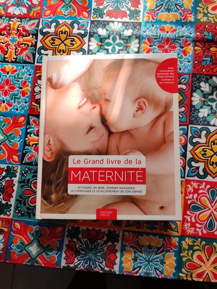 Le grand livre de la maternité - photo numéro 1