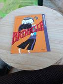 Livre Brindille