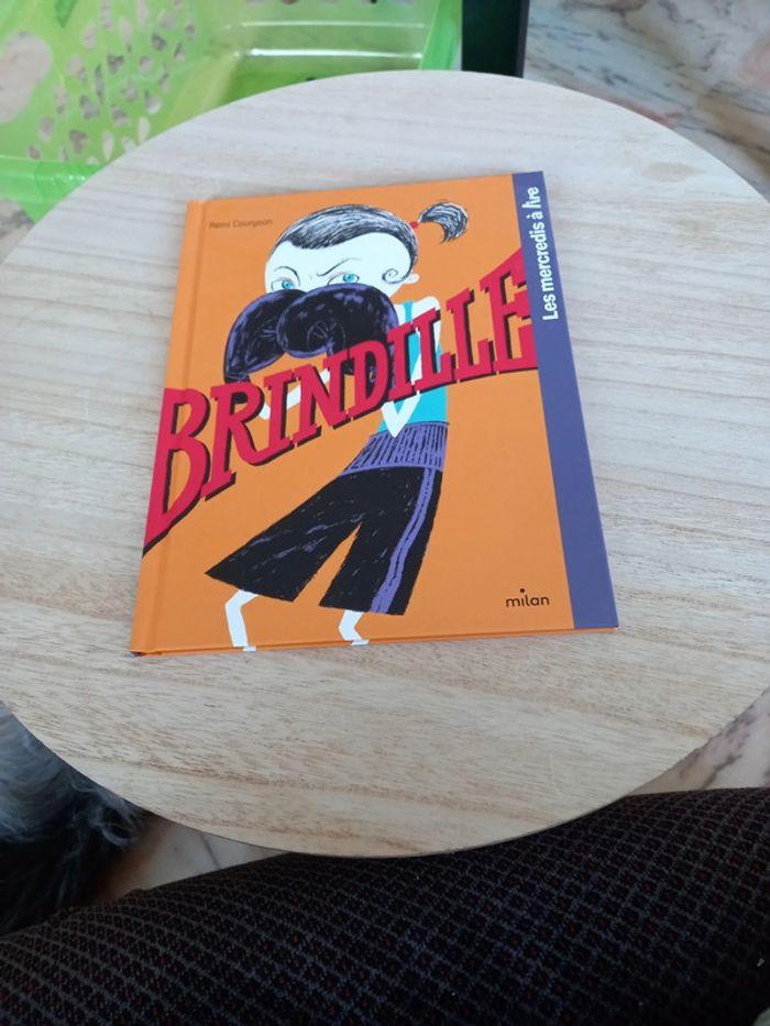 Livre Brindille - photo numéro 1