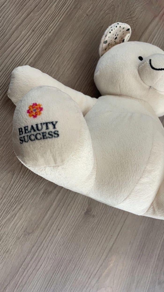 Nounours Beauty Success - photo numéro 3