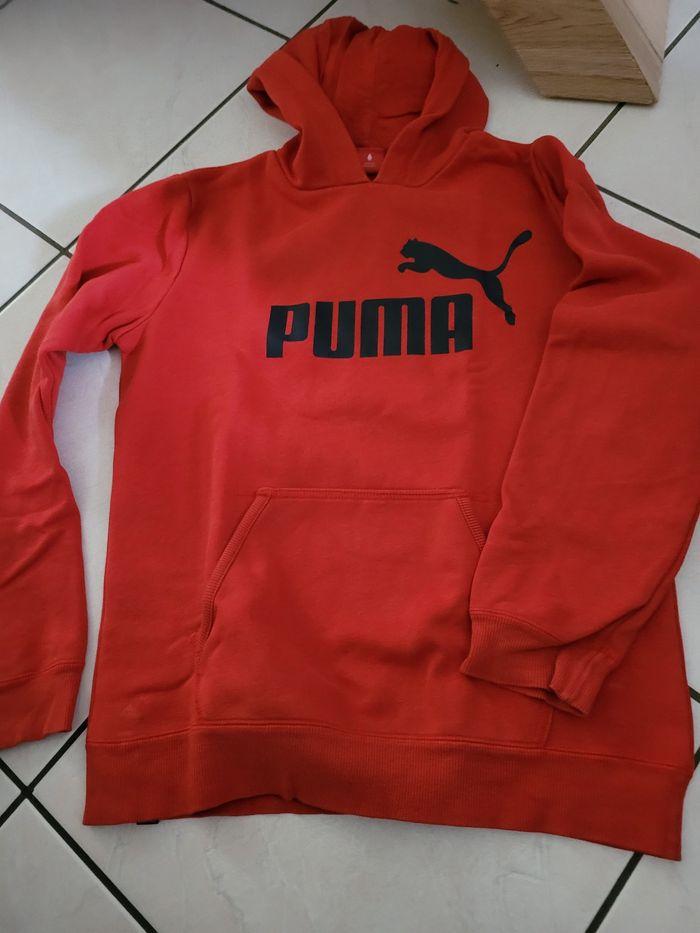 Sweat puma