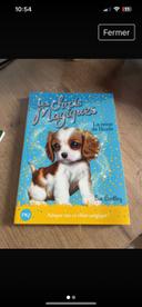 Livre les chiots magiques tome