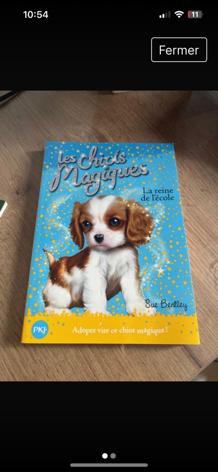 Livre les chiots magiques tome - photo numéro 1