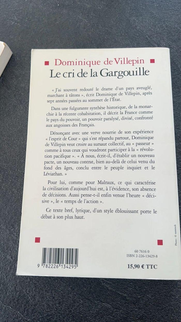 Le cri de la Gargouille - photo numéro 2