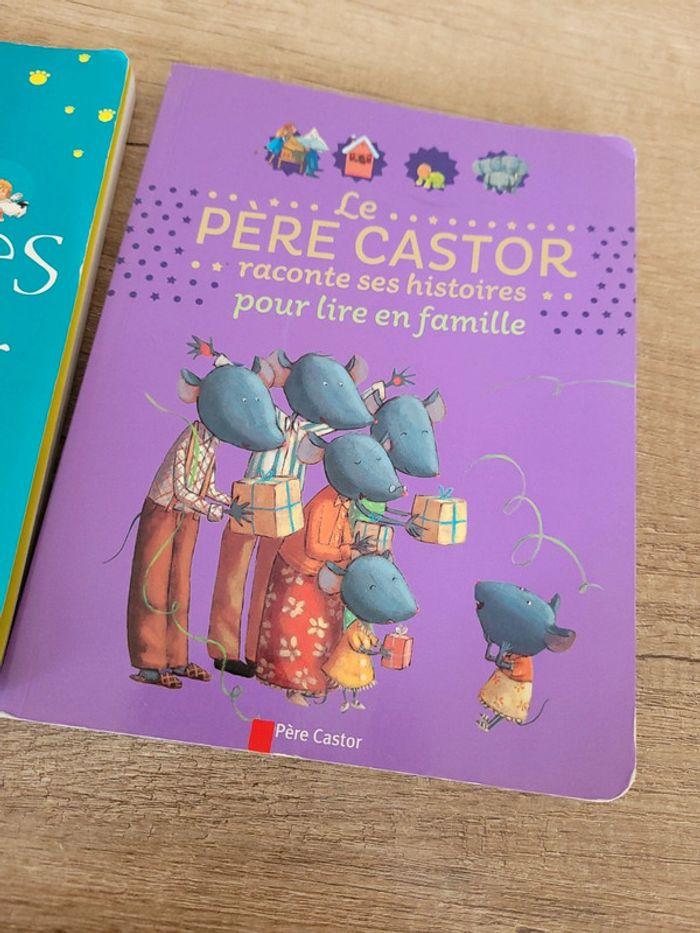 Livres Père Castor - photo numéro 2