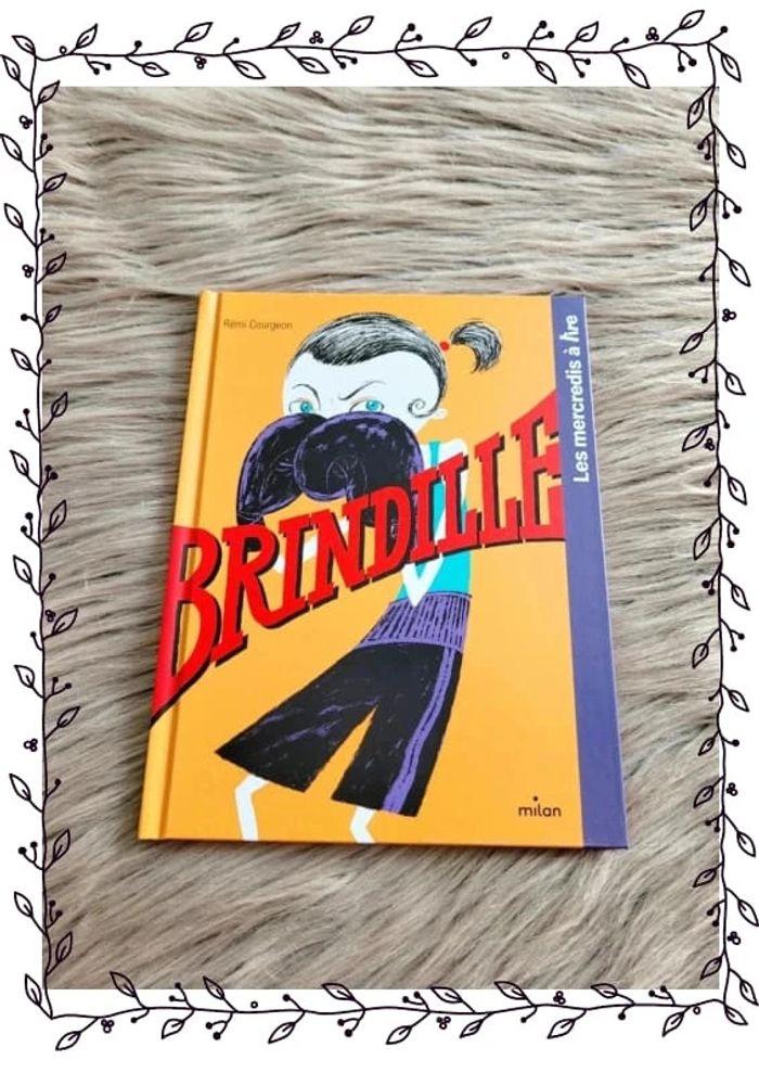 Livre Brindille - photo numéro 1