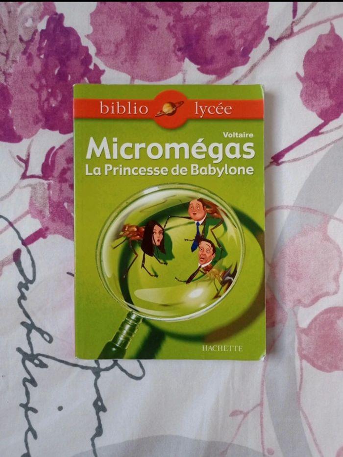 Livre "micromégas la princesse de Babylone" de Voltaire - photo numéro 1