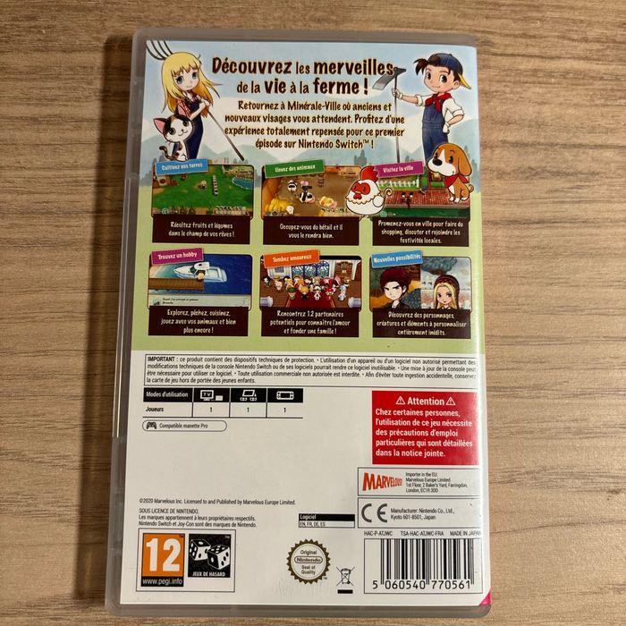 Story of seasons switch - photo numéro 3