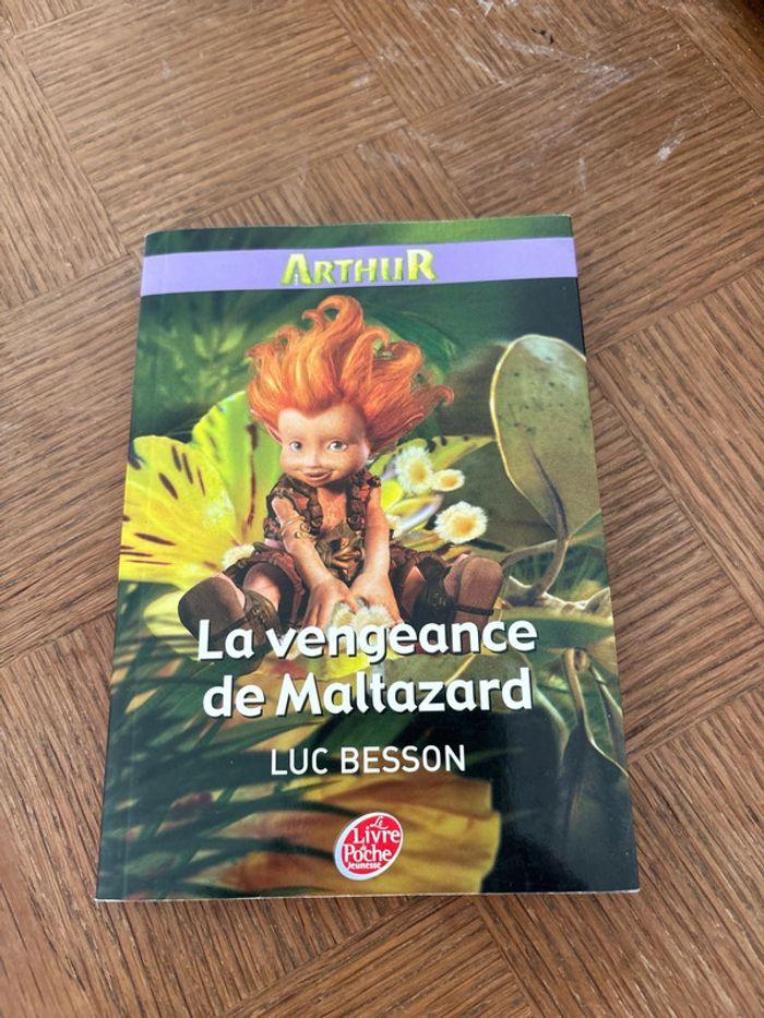 Arthur et les minimoys Tome 3 - La vengeance de Maltazard / Luc Besson - photo numéro 1