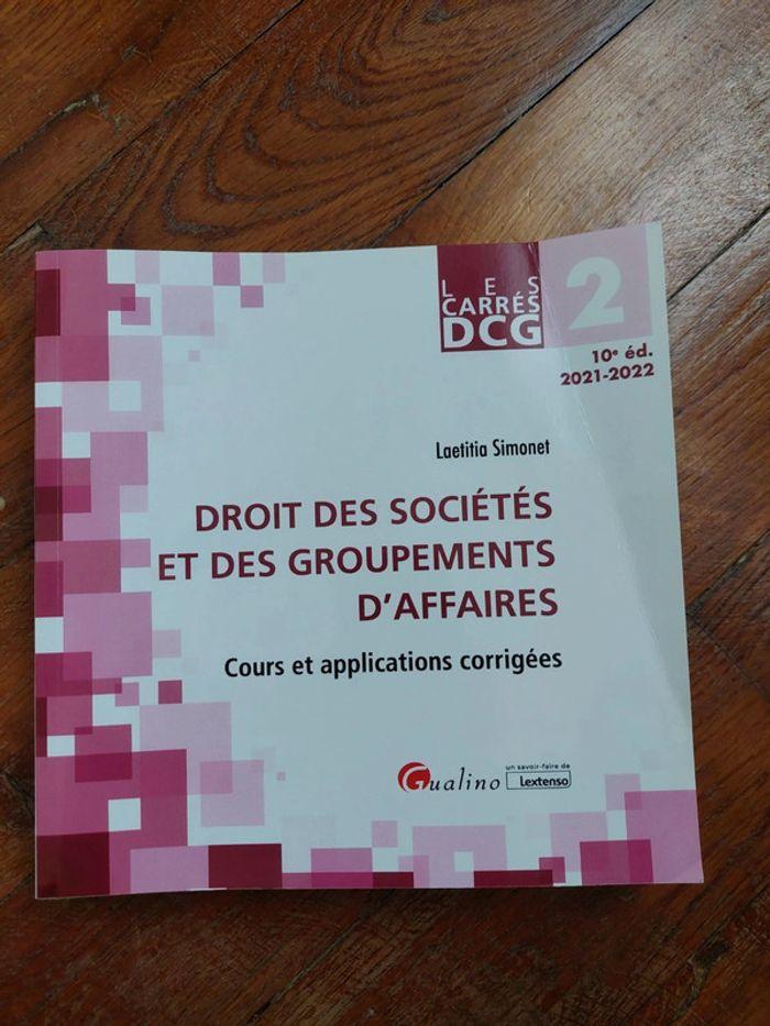 Dcg droit des sociétés