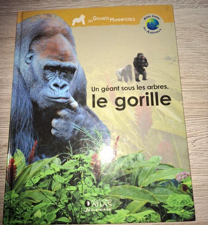 Livre  le gorille - photo numéro 1