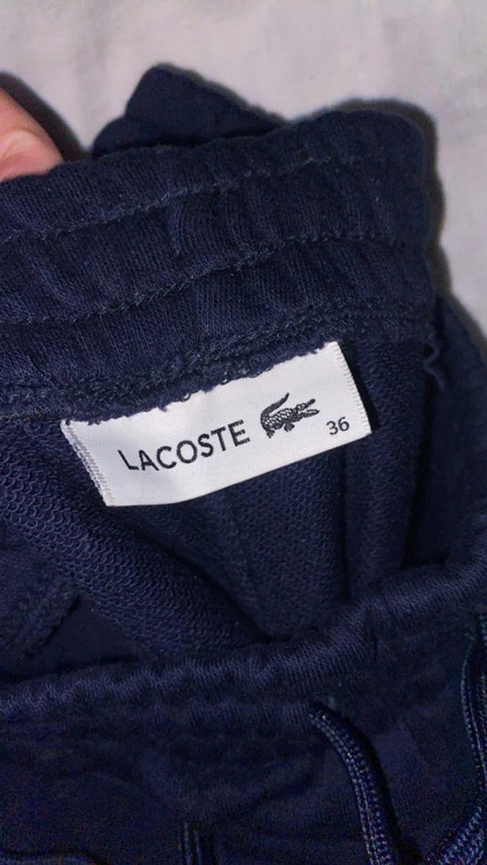 Ensemble Lacoste - photo numéro 3