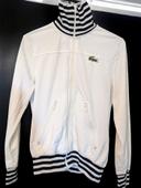 Veste Lacoste