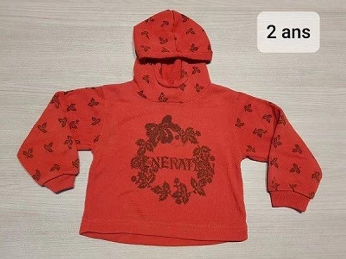 Pull capuche 2 ans fille