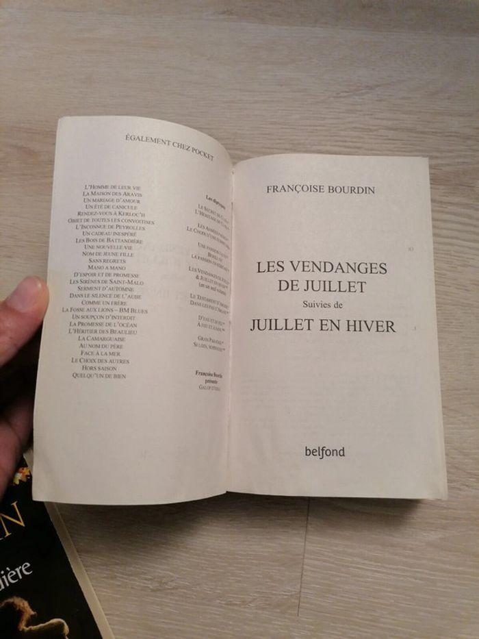 livre Les vendanges de juillet & Juillet en hiver Francoise Bourdin - photo numéro 3