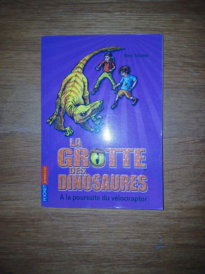 Lot la grotte des dinosaures - photo numéro 11