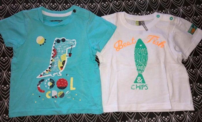 Lot de 2 thee shirt bébé garçon taille 9 mois !