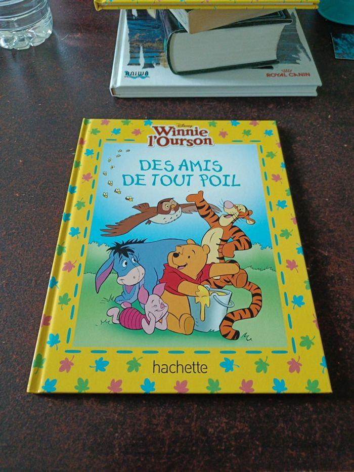 Des amis de tout poil Winnie l'ourson - photo numéro 1