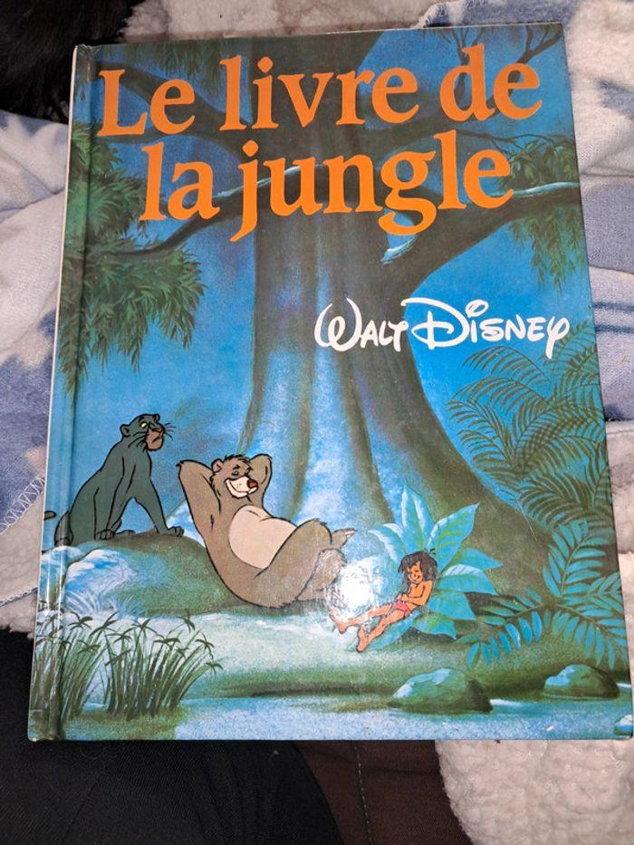 Le livre de la jungle Walt Disney - photo numéro 1