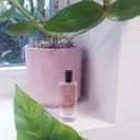 Eau de parfum miniature Si Giorgio Armani 15 ml