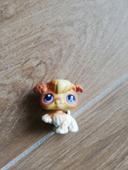 Chien  Littlest Petshop