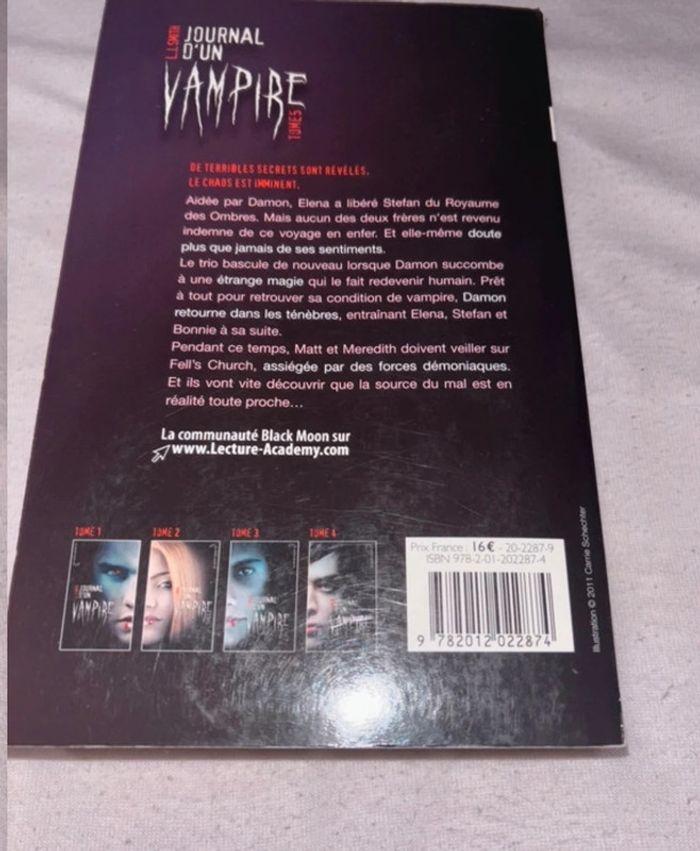 Lots livres le journal d’un vampire - photo numéro 10