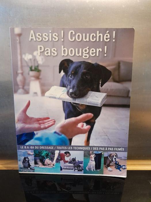 Assis! couché, pas bouger!