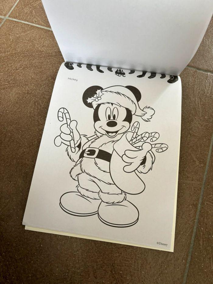 Livres de coloriages Disney - photo numéro 4