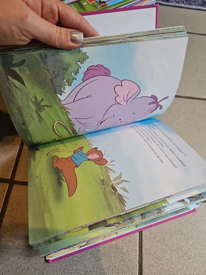 Livre winnie - photo numéro 3