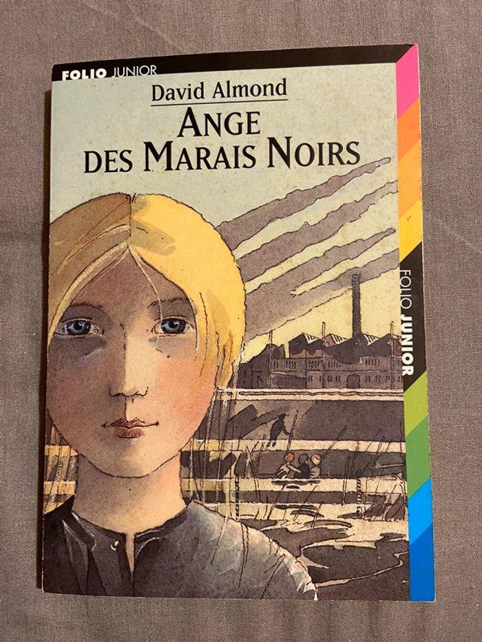 Livre Ange des Marais Noirs - photo numéro 1