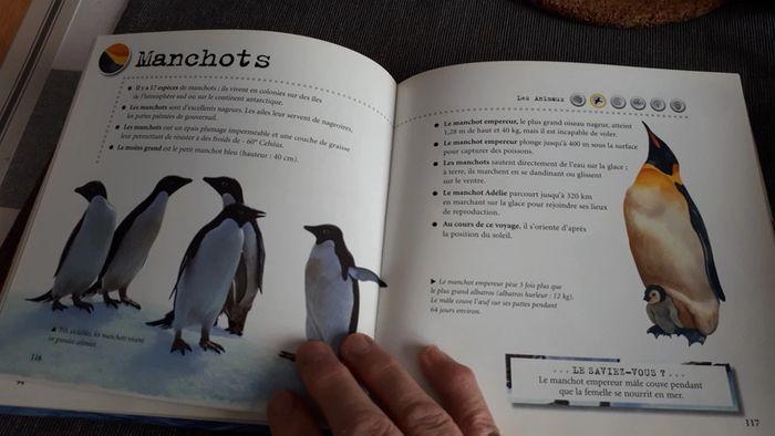 Livre 1000 infos sur les animaux - photo numéro 5