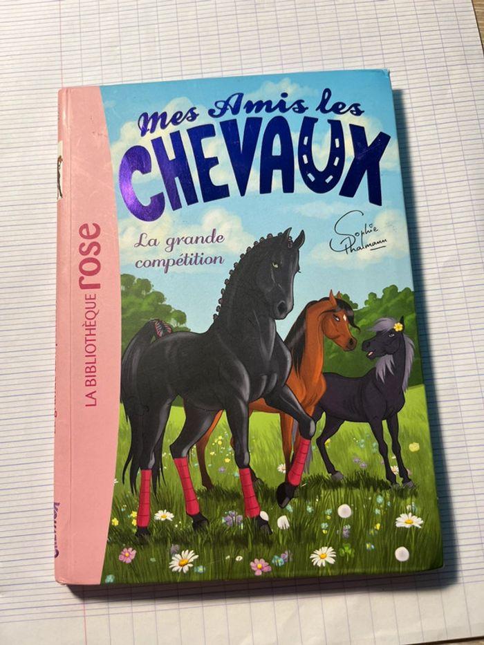 Mes amis les chevaux - photo numéro 1